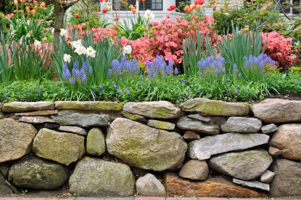 Stone Wall Hardscaping in Trenton