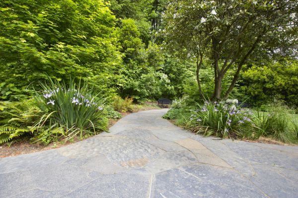 Stone Hardscape Service in Trenton
